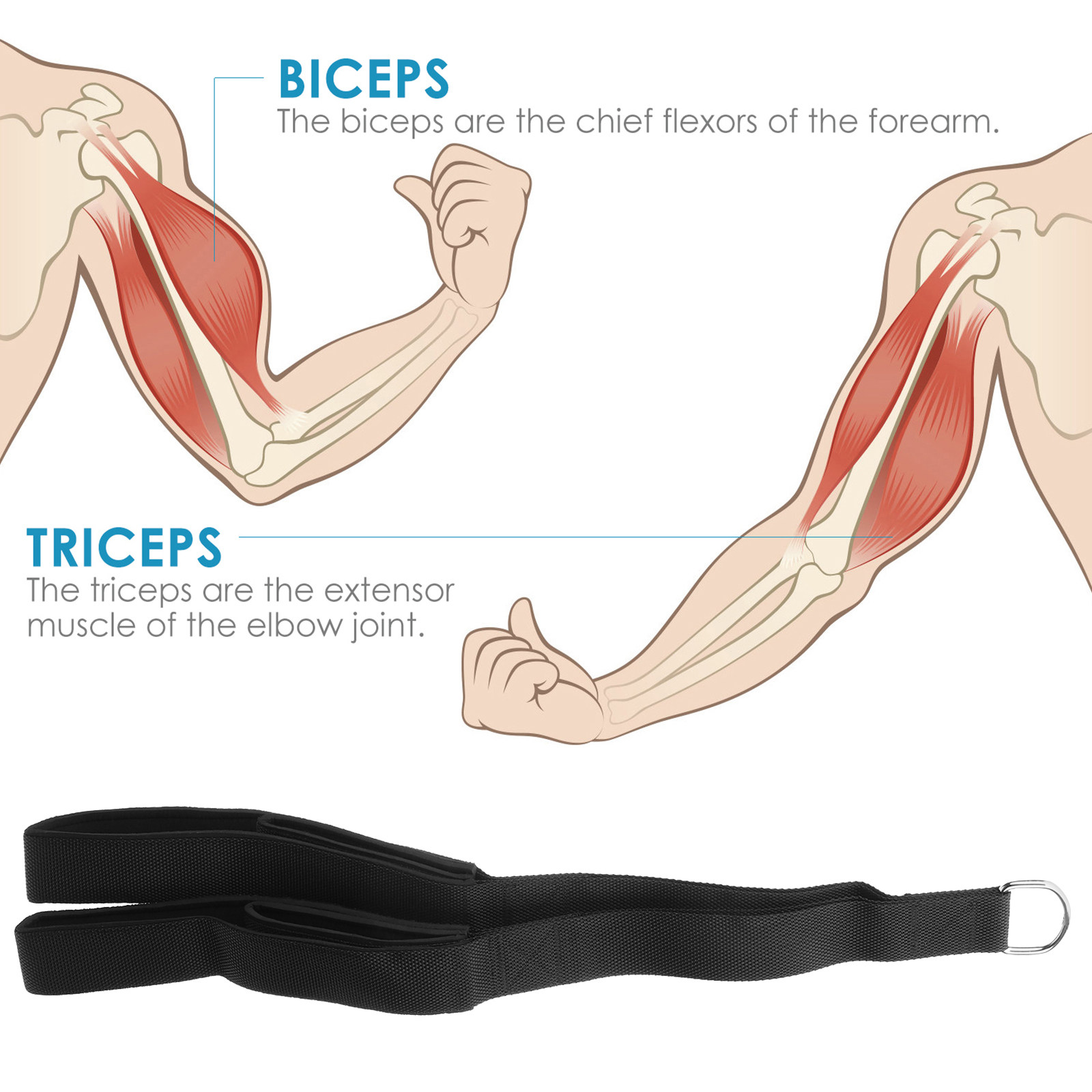 Corde de traction triceps à do - Home Gym Hammer Strength avis et prix