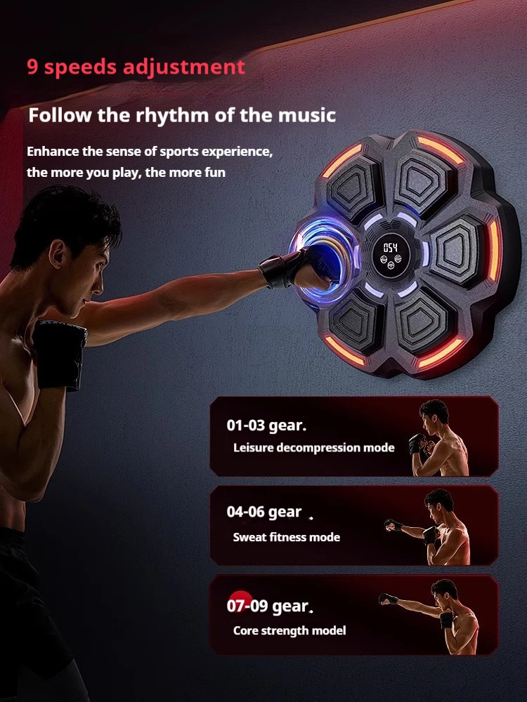 Cible de boxe murale intellige - Home Gym Wall avis et prix