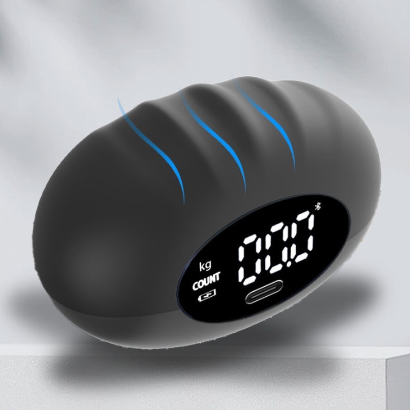 Dynamomètre numérique ergonomi - Home Gym Rig avis et prix