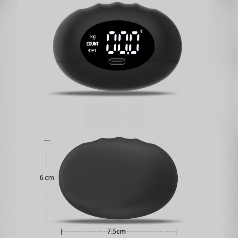 Dynamomètre numérique ergonomi - Home Gym Rig avis et prix
